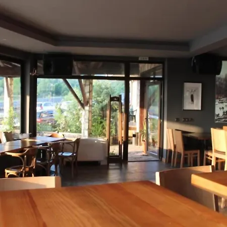 Guest * بانسكو